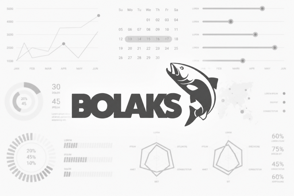 Bolaks Group